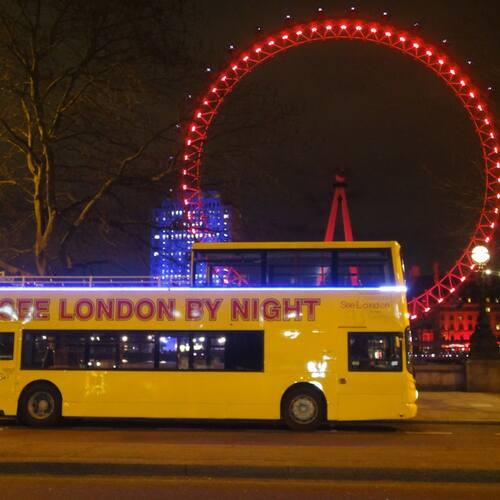 Londres : visite guidée en bus