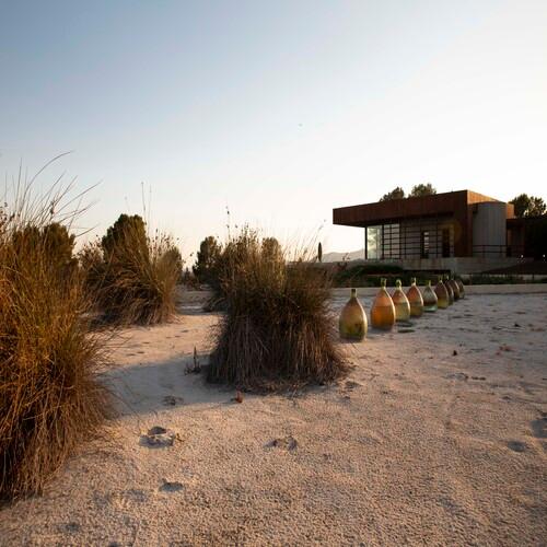 Familia Torres : dégustation de tapas, vins et cuisine Slow Food