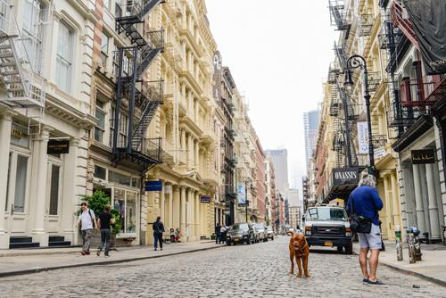 Soho, Greenwich Village et Meatpacking District : visite guidée privée