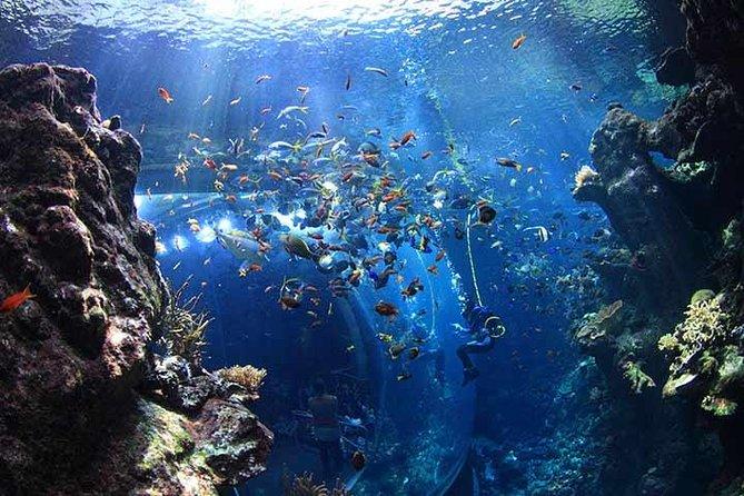 city-pass-san-francisco-acces-pour-quatre-attractions