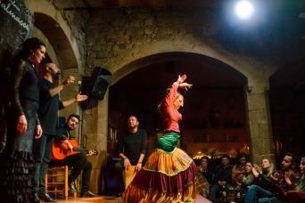 spectacle-de-flamenco-au-medieval-palace