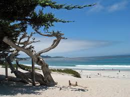 Carmel et Monterey : excursion d'une journée en bus