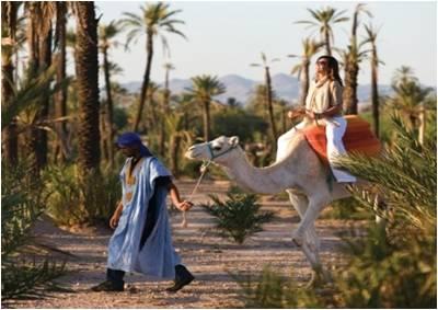 marrakech-balade-a-dos-de-chameau
