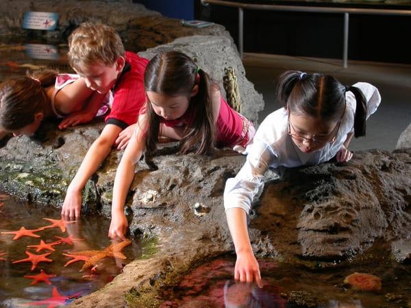seattle-aquarium-pas