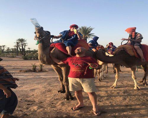 excursion en chamaux à marrakech