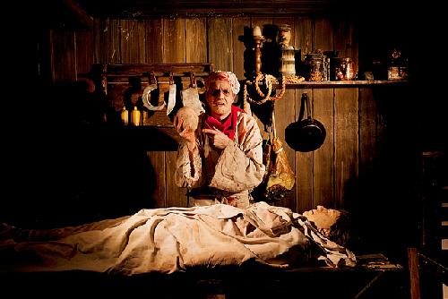 Amsterdam Dungeon : billet d'entrée et tour en bus à arrêts multiples