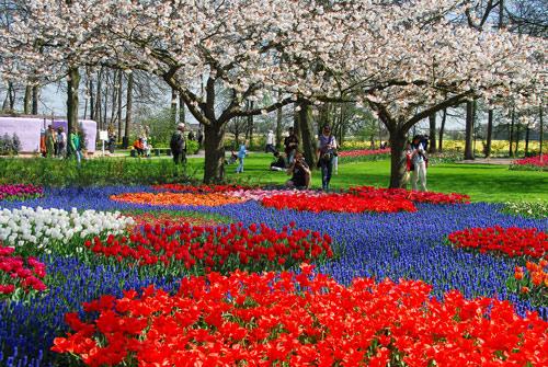 Keukenhof : billet d'entrée avec transport en bus depuis Amsterdam
